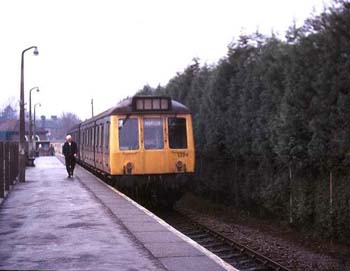 34 The Marlow donkey at Marlow in 1976