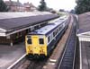 132 140 at Shirley 1981