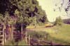 205 Class 142 'Skipper' approaches Home Farm bridge near Eggesford July 1990