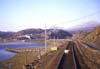 87 Sheep stop near Aberdovey on the Cambrian Coast in March 1986